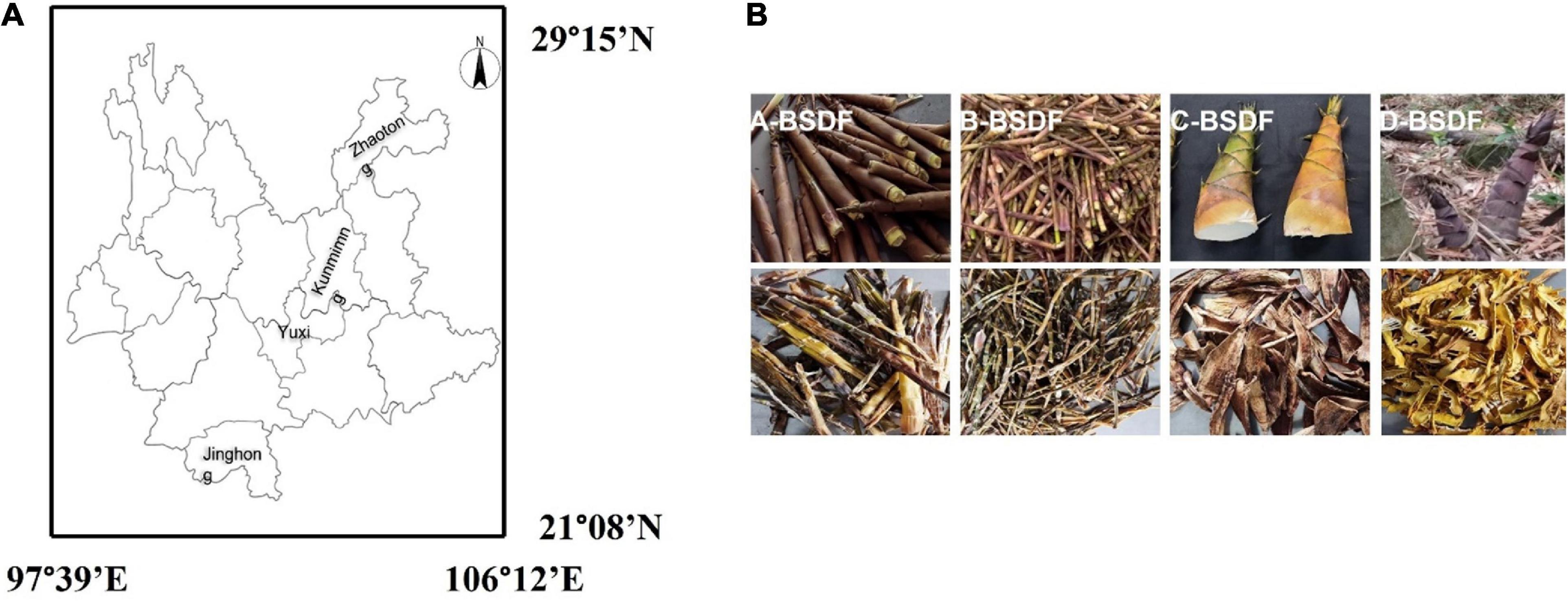 Comparison of physicochemical and in vitro hypoglycemic activity of bamboo shoot dietary fibers from different regions of Yunnan